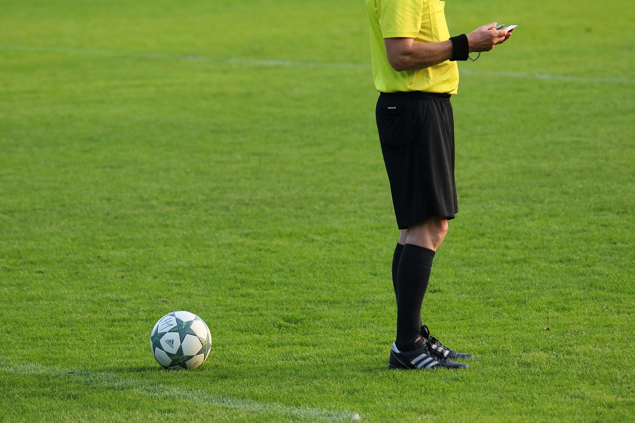 planet_fox-soccer-6679087_1280
